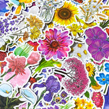 LAPTOP STICKER STICKERS flower flowers floral bloom blooms blossom big glossy sticker stationery set pack sunflower daisy red pink orange yellow white purple lilac garden plants uk