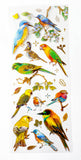 bright birds bird sticker stickers sheet holographic foil gold foiled highlights pack 3 sheet sheets uk cute kawaii stationery shop store gift gifts planner supplies addict blue tit humming parrot kingfisher garden wild set