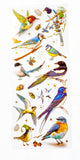 bright birds bird sticker stickers sheet holographic foil gold foiled highlights pack 3 sheet sheets uk cute kawaii stationery shop store gift gifts planner supplies addict blue tit humming parrot kingfisher garden wild set