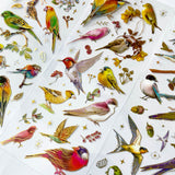 bright birds bird sticker stickers sheet holographic foil gold foiled highlights pack 3 sheet sheets uk cute kawaii stationery shop store gift gifts planner supplies addict blue tit humming parrot kingfisher garden wild set