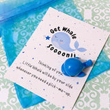 pocket hug pal pals stocking filler gift stress anxiety mental health gift gifts uk cute kawaii dolphin panda pandas penguin penguins get whale soon well whales duck christmas festive ducks thoughtful present ideas