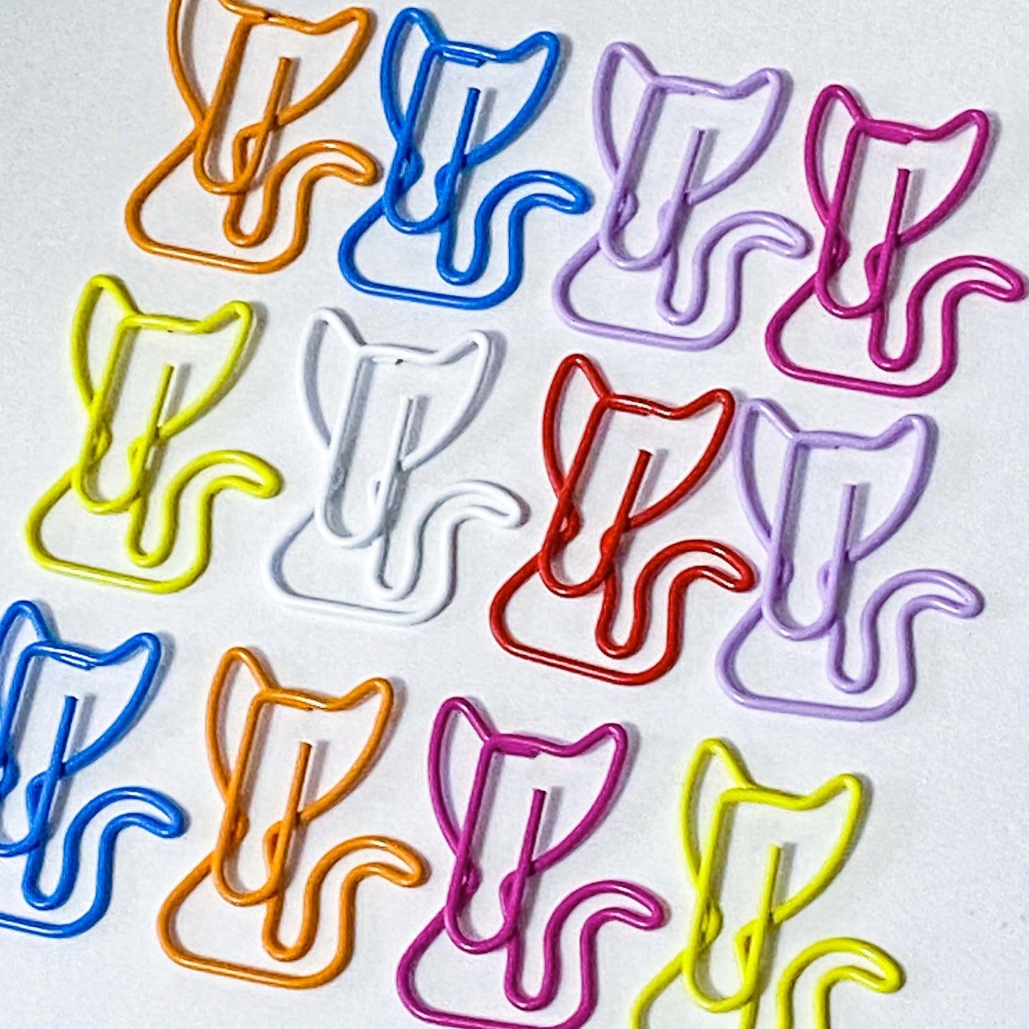 COLOURFUL CAT Jumbo PAPER CLIP 31mm x 2