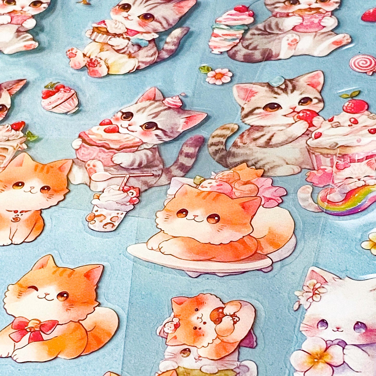 cute cartoon cats stickers with various poses and accessories on a blue background.