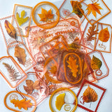 autumn leaf leaves stamp stamps clear sticker stickers pack packs orange brown gold green red big large adhesive planner supplies shop cute kawaii plastic pet stationery uk