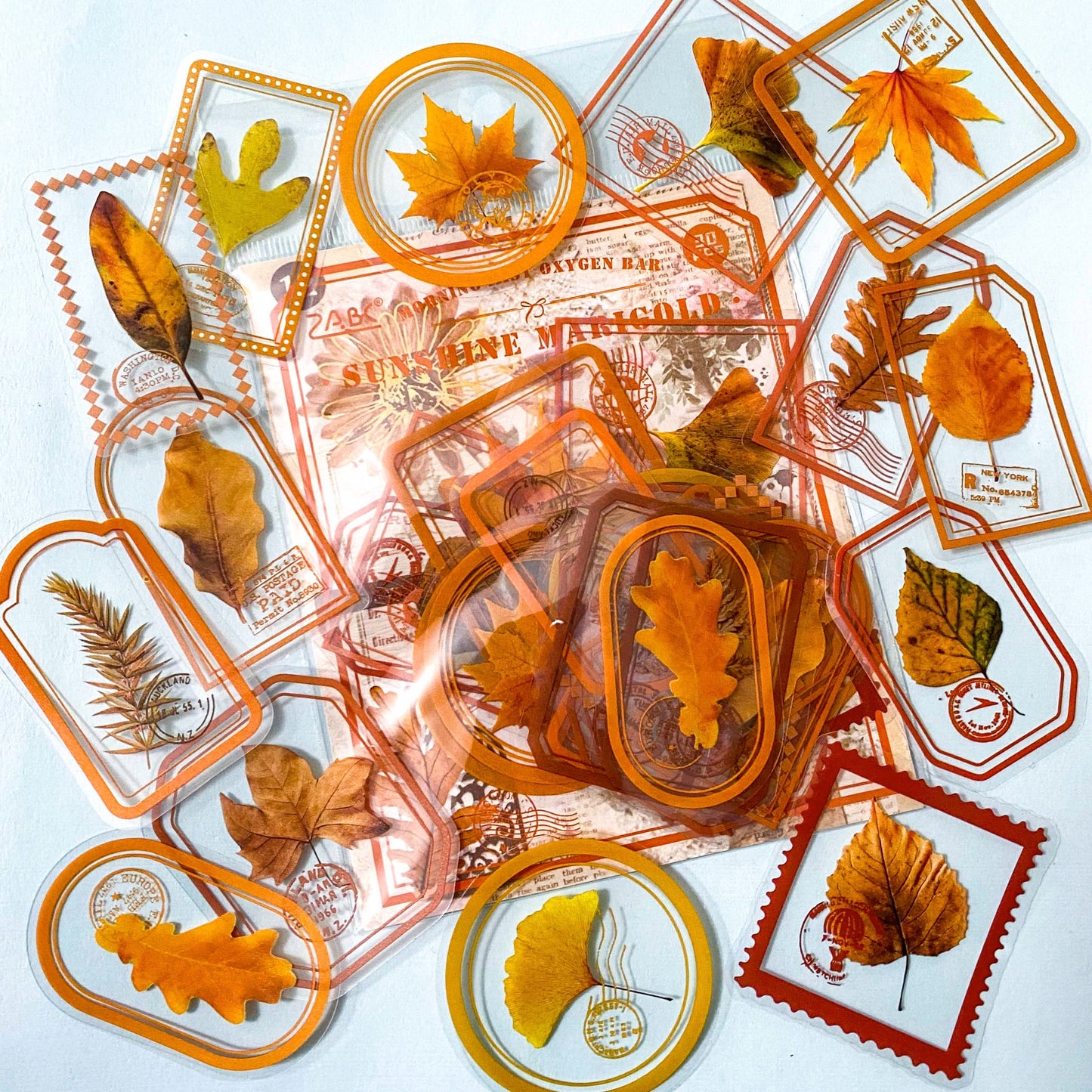 autumn leaf leaves stamp stamps clear sticker stickers pack packs orange brown gold green red big large adhesive planner supplies shop cute kawaii plastic pet stationery uk