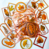 autumn leaf leaves stamp stamps clear sticker stickers pack packs orange brown gold green red big large adhesive planner supplies shop cute kawaii plastic pet stationery uk