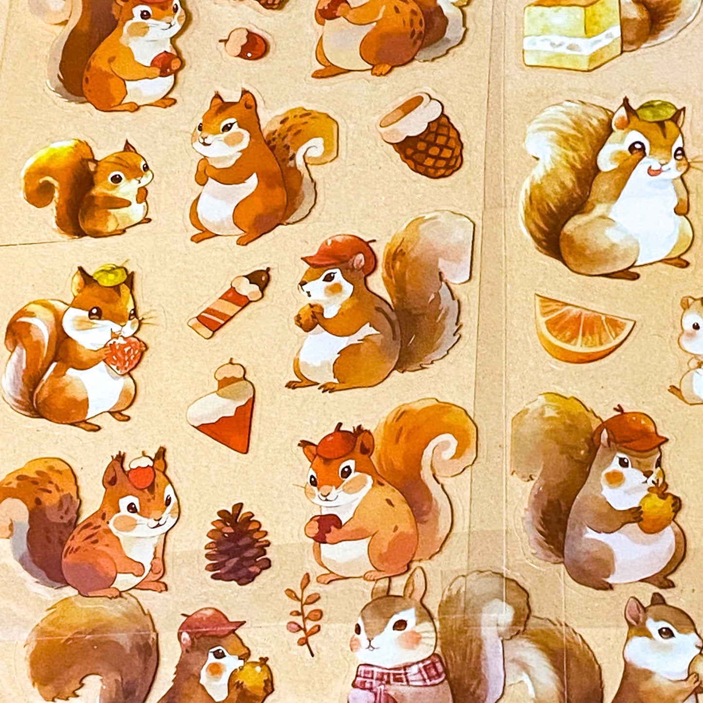 cute squirrel kawaii sticker pack of 6 clear plastic PET sheets with adorable squirrels illustrations and food, nuts, autumn leaves and treats