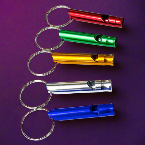 safety whistle whistles metallic metal silver gold blue green red mini little keyring key chain ring stocking filler fillers gift gifts uk cute kawaii kids lady women
