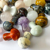 small mushroom mushrooms gem gems gemstone carved figure uk cute kawaii gift gifts shop store 2cm stone lapis jasper rose quartz aventurine sodalite tiger eye agate chalcedony goldstone bloodstone magnesite onyx