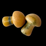 GEMSTONE MUSHROOM Figurine Stone Carved Stone 20mm
