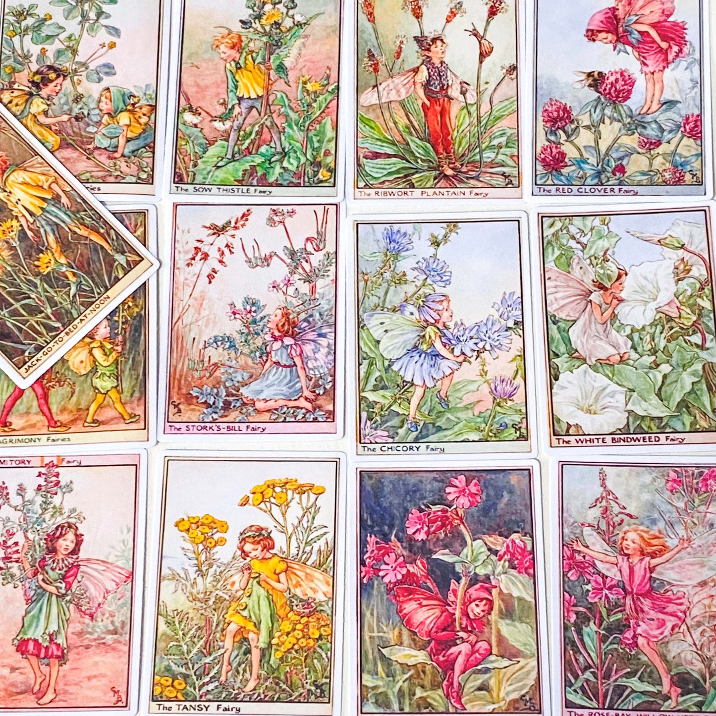 flower fairy set of 16 rectangular satin finish stickers of wild flower fairies including bindweed, rose bay willow herb, tansy and bee orchid