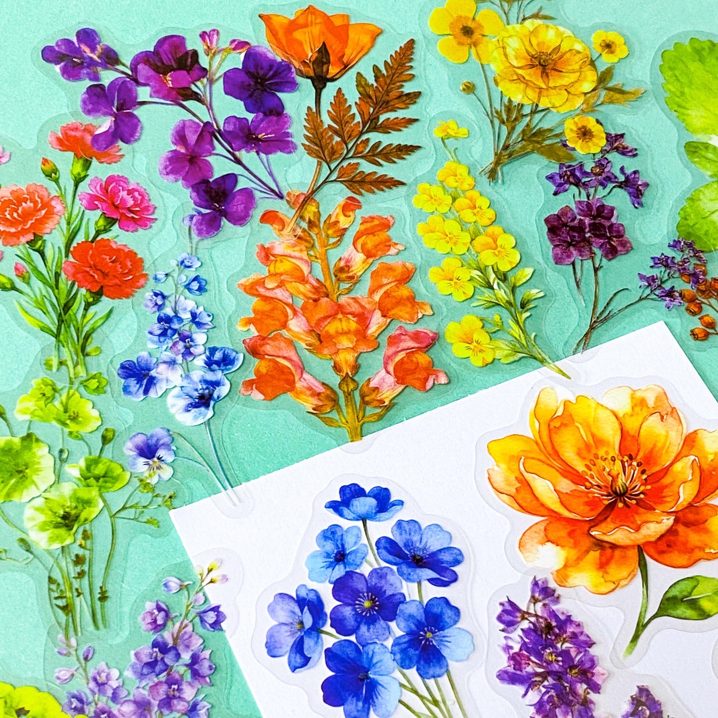pack of 50 large PET transparent stickers of botanical flowers featuring garden plants in a range of bright colours with daisy, pansy, carnation, fern, foxglove, hydrangea, poppy, lupin. uk stationery shop.