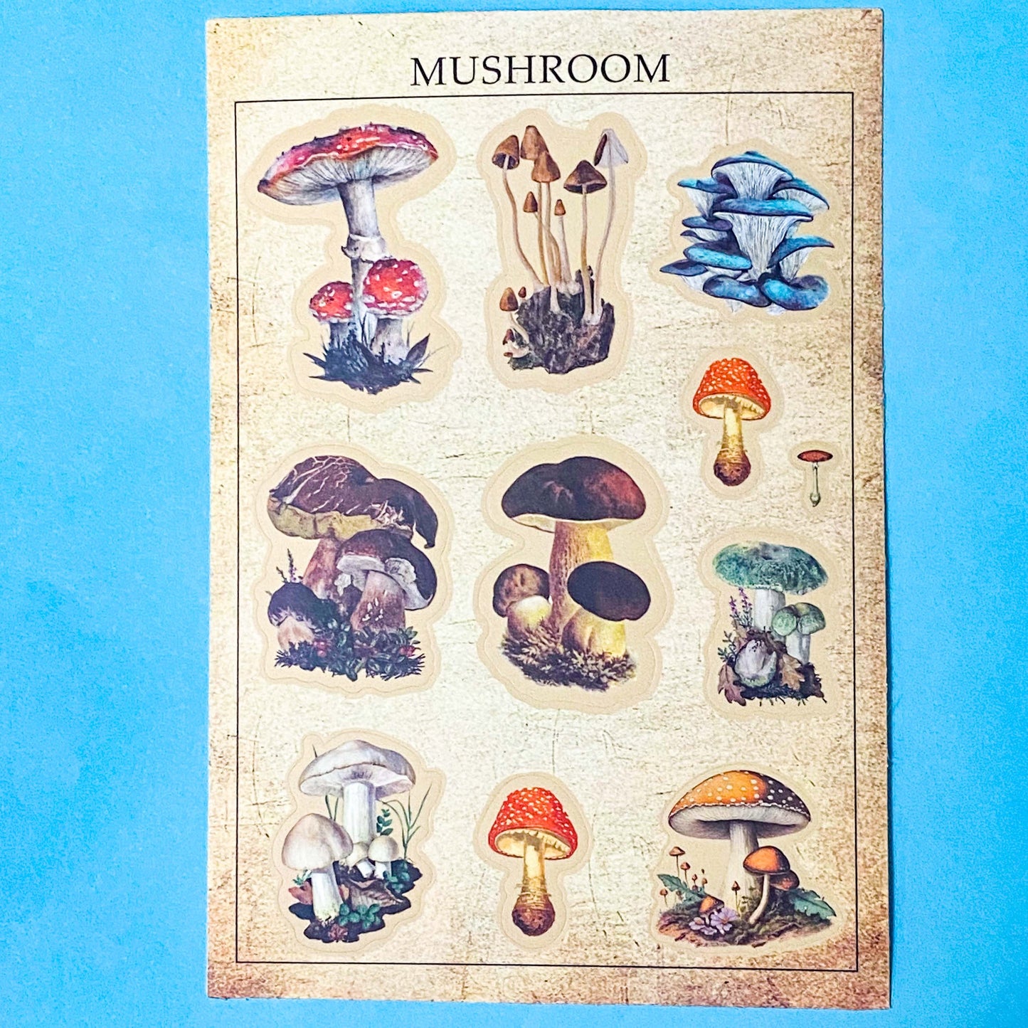 vintage botanical plants butterflies and mushroom matte sticker sheets on a blue background