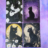black cat cats postcard postcards post card cards uk cute kawaii stationery shop store witch magic magical planner supplies set of  pack bargain bundle lover lovers kitty