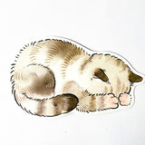 CUDDLY ANIMAL Shaped POSTCARD- panda cat otter fish or bunny