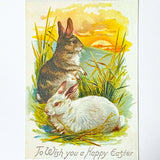 spring postcard postcards car cards greetings easter springtime flower flowers nature rabbit rabbits bunny bunnies nostalgia vintage retro old fashioned drawings sepia distressed chick uk cute kawaii stationery gifts sticker stickers seals envelopes envelope