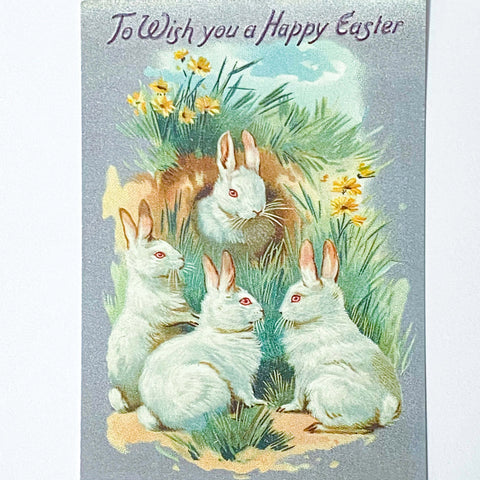 spring postcard postcards car cards greetings easter springtime flower flowers nature rabbit rabbits bunny bunnies nostalgia vintage retro old fashioned drawings sepia distressed chick uk cute kawaii stationery gifts sticker stickers seals envelopes envelope victorian