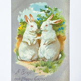 spring postcard postcards car cards greetings easter springtime flower flowers nature rabbit rabbits bunny bunnies nostalgia vintage retro old fashioned drawings sepia distressed chick uk cute kawaii stationery gifts sticker stickers seals envelopes envelope victorian
