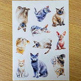 adorable cat cats kitten kitty black tabby ginger brown grey blue cute kawaii individual postcard postcards post card cards uk stationery shop store supplies gift gifts floral flowers ocean orange oranges sticker seals
