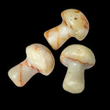 GEMSTONE MUSHROOM Figurine Stone Carved Stone 20mm