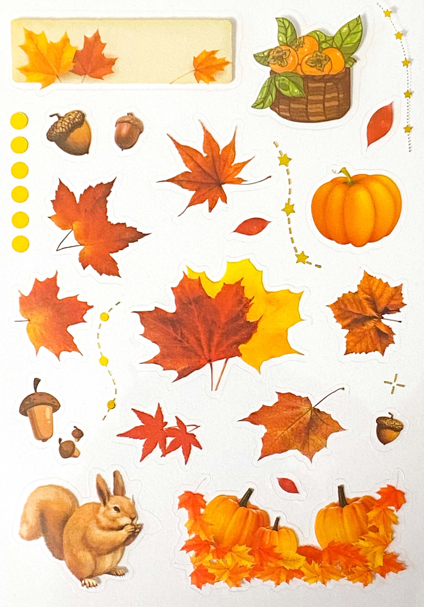 Just 60p! AUTUMN WOODLAND Clear Plastic Sticker Sheet/s 8 or Pack Leaf Leaves