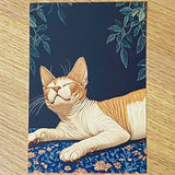 opulent cat cats postcard postcards post card cards blank uk cute kawaii colourful kitten kitty floral flowers flower individual blue peach cream orange black stationery shop store