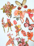 flower fairy fairies sticker stickers flake flakes clear plastic pack uk cute kawaii stationery butterfly butterflies flower flowers floral pretty pink rose yellow peach vintage retro garden daisy blossom illustration illustrations