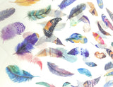bright feather feathers bird egg eggs translucent washi paper sticker stickers sheets pack 6 kawaii cute uk stationery gifts birds tracing paper matte