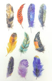 bright feather feathers bird egg eggs translucent washi paper sticker stickers sheets pack 6 kawaii cute uk stationery gifts birds tracing paper matte