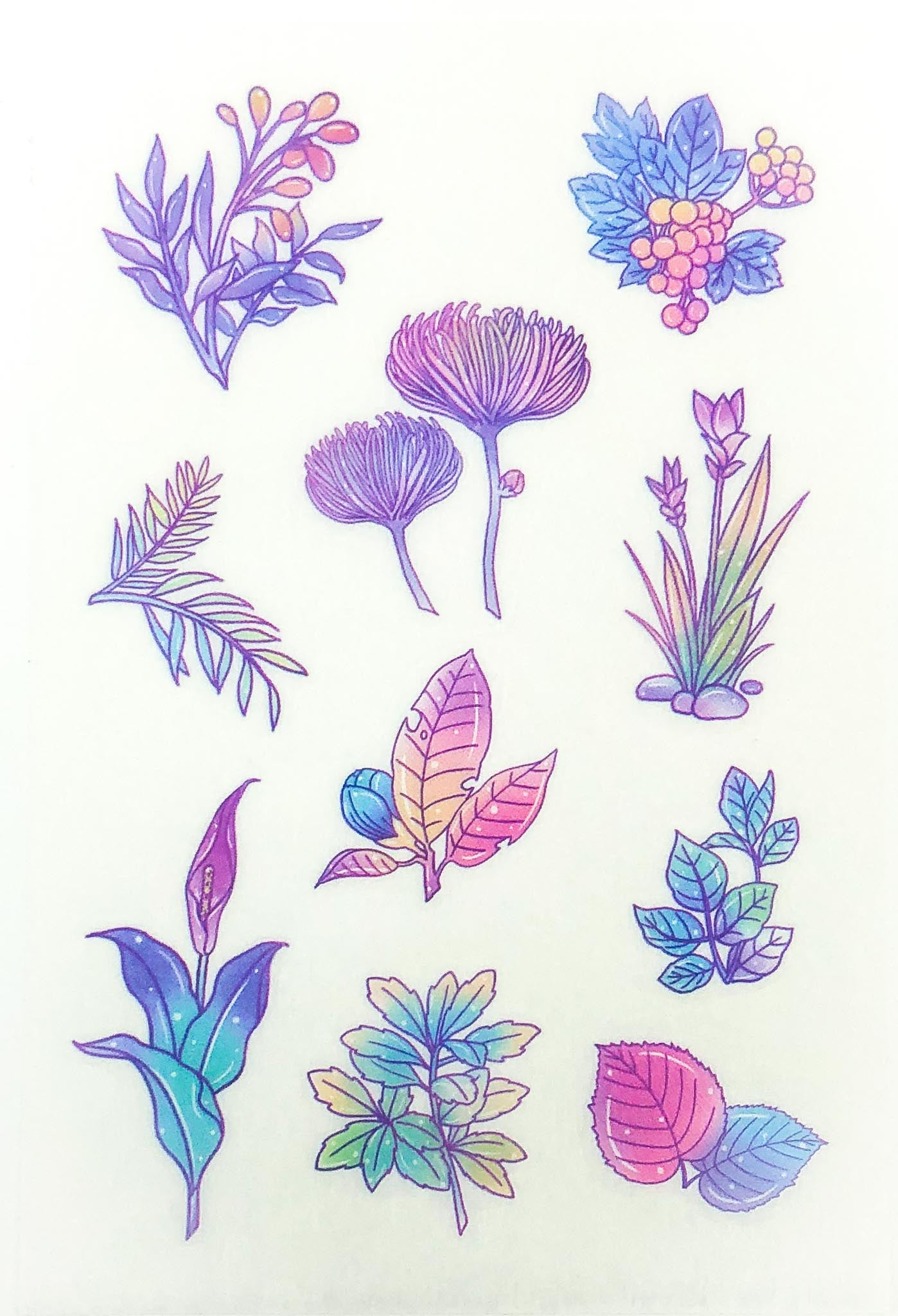 watercolour floral flowers and plants leaves pink and purple bright shades sticker stickers sheets pack 6 translucent washi paper matte uk cute kawaii stationery succulent cactus plant
