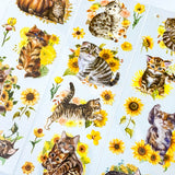 sunflower golden yellow orange flowers cat cats pretty kittens plastic clear sticker stickers sheet garden tabby tabbies grey brown floral uk stationery cute kawaii