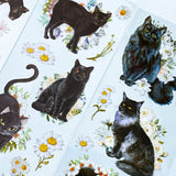 clear sticker stickers black cat cats kawaii cute stationery pack 3 sheet sheets flower flowers floral plastic and white kitten kittens animals uk daisy daisies grey
