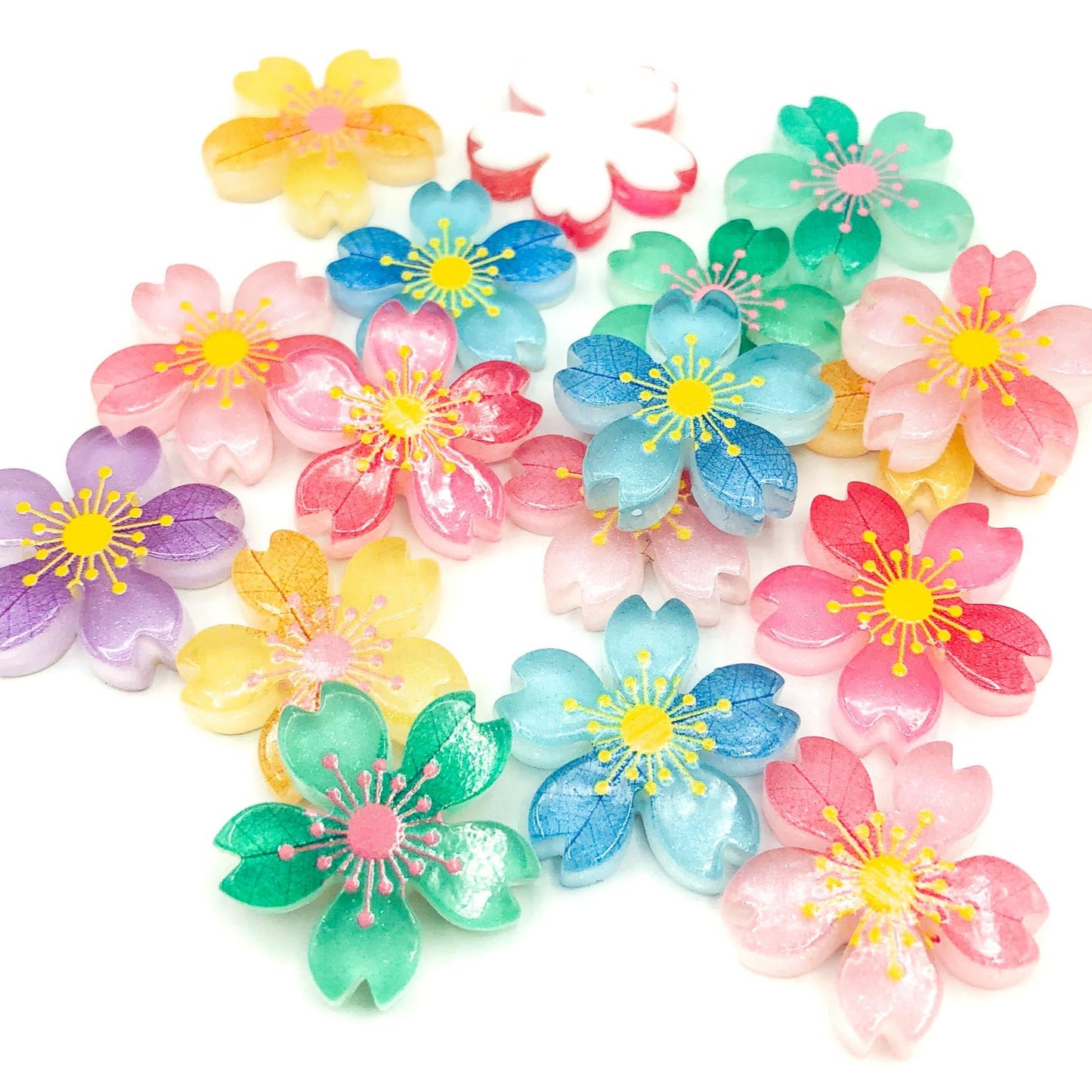 cherry blossom 2 tone colourful flower acrylic large flatback flat back backs uk craft supplies resins flowers fbs big variegated bicolour uk cute kawaii big floral resin cute kawaii shop store blossoms spring