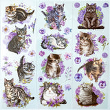 ilac purple floral flowers cat cats kitten kittens clear plastic sticker stickers sheet grey tabby tabbies kitty uk cute kawaii stationery planner supplies garden nature