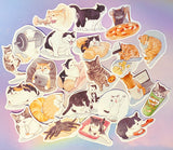 cute kawaii cat cats kitten kitty laptop large matte sticker stickers uk stationery pack packs black white ginger funny sweet decorative