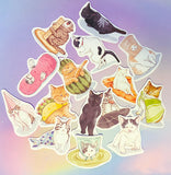cute kawaii cat cats kitten kitty laptop large matte sticker stickers uk stationery pack packs black white ginger funny sweet decorative