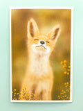 textured semi matte cute kawaii animal postcard postcards post card cards uk stationery fox dog cat bear polar kitten puppy seal rabbit bunny bird individual