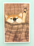 textured semi matte cute kawaii animal postcard postcards post card cards uk stationery fox dog cat bear polar kitten puppy seal rabbit bunny bird individual