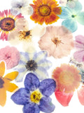 large plastic clear flower flowers sticker stickers flake flakes spring bloom blooms uk cute kawaii stationery big pack 40 pvc