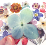 large plastic clear flower flowers sticker stickers flake flakes spring bloom blooms uk cute kawaii stationery big pack 40 pvc
