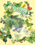 green greens butterfly butterflies clear plastic sticker stickers flake flakes pack of 40 uk cute kawaii stationery