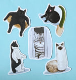 CATS Laptop / Decorative Stickers Set NEW SETS