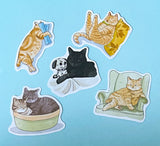 CATS Laptop / Decorative Stickers Set NEW SETS