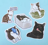 CATS Laptop / Decorative Stickers Set NEW SETS