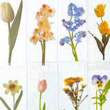 clear pet plastic bookmarks rounded corner uk cute kawaii stationery floral flower flowers spring tulip daffodil daisy violet yellow pink blue white bookmark