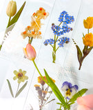 clear pet plastic bookmarks rounded corner uk cute kawaii stationery floral flower flowers spring tulip daffodil daisy violet yellow pink blue white bookmark