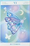 NATURE Individual Postcard- Fungi Butterfly Fish or Jellyfish