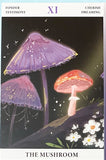 NATURE Individual Postcard- Fungi Butterfly Fish or Jellyfish