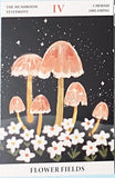 NATURE Individual Postcard- Fungi Butterfly Fish or Jellyfish