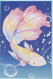 NATURE Individual Postcard- Fungi Butterfly Fish or Jellyfish